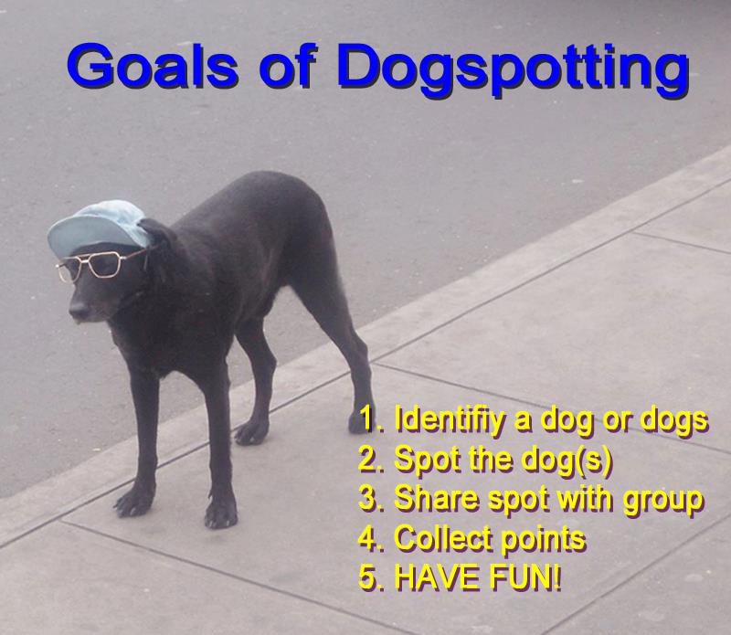 the rules of dogspotting